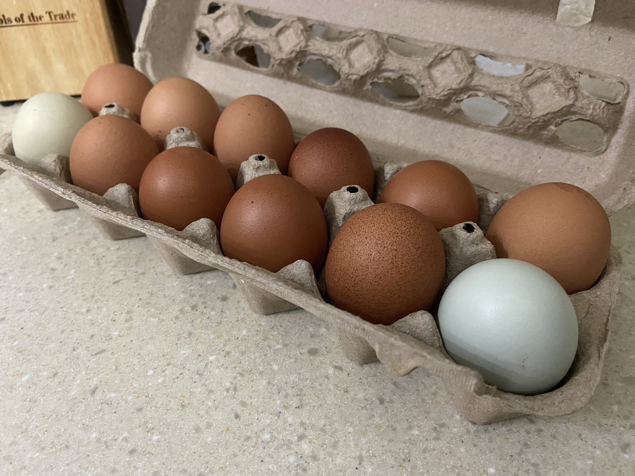 Are white eggs better than brown eggs?